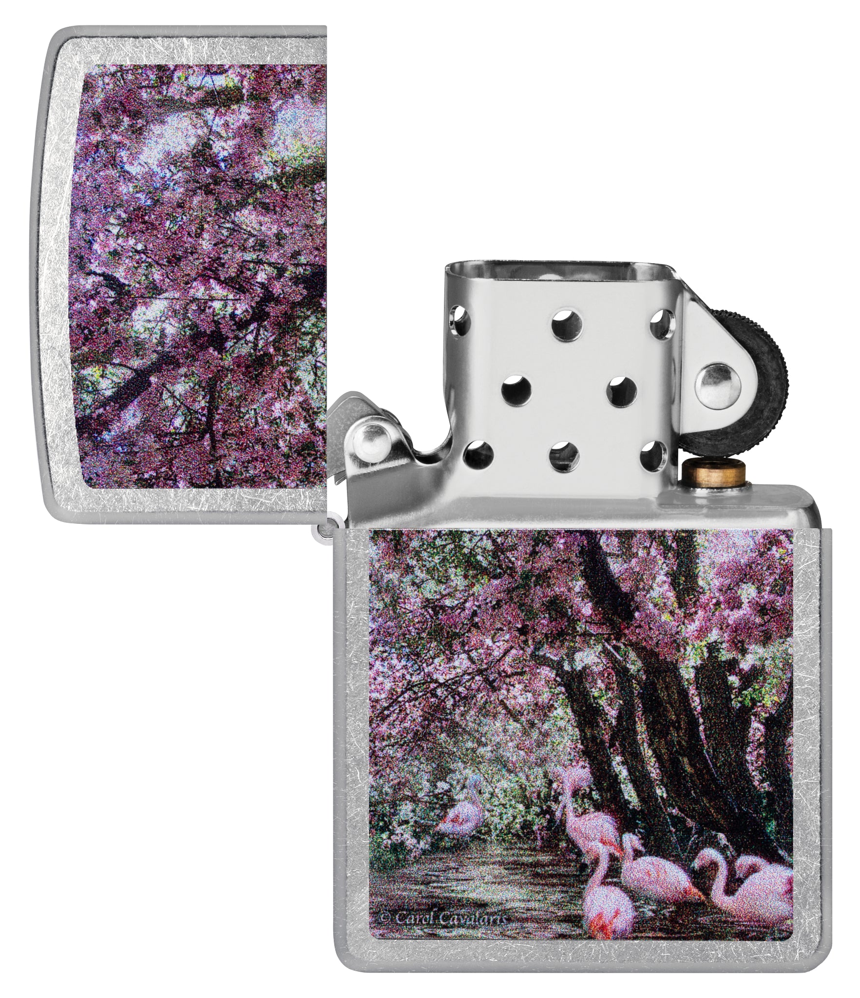Zippo Carol Cavalaris Flamingo Lagoon Design Street Chrome Windproof Lighter  with its lid open and unlit.