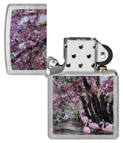 Zippo Carol Cavalaris Flamingo Lagoon Design Street Chrome Windproof Lighter  with its lid open and unlit.