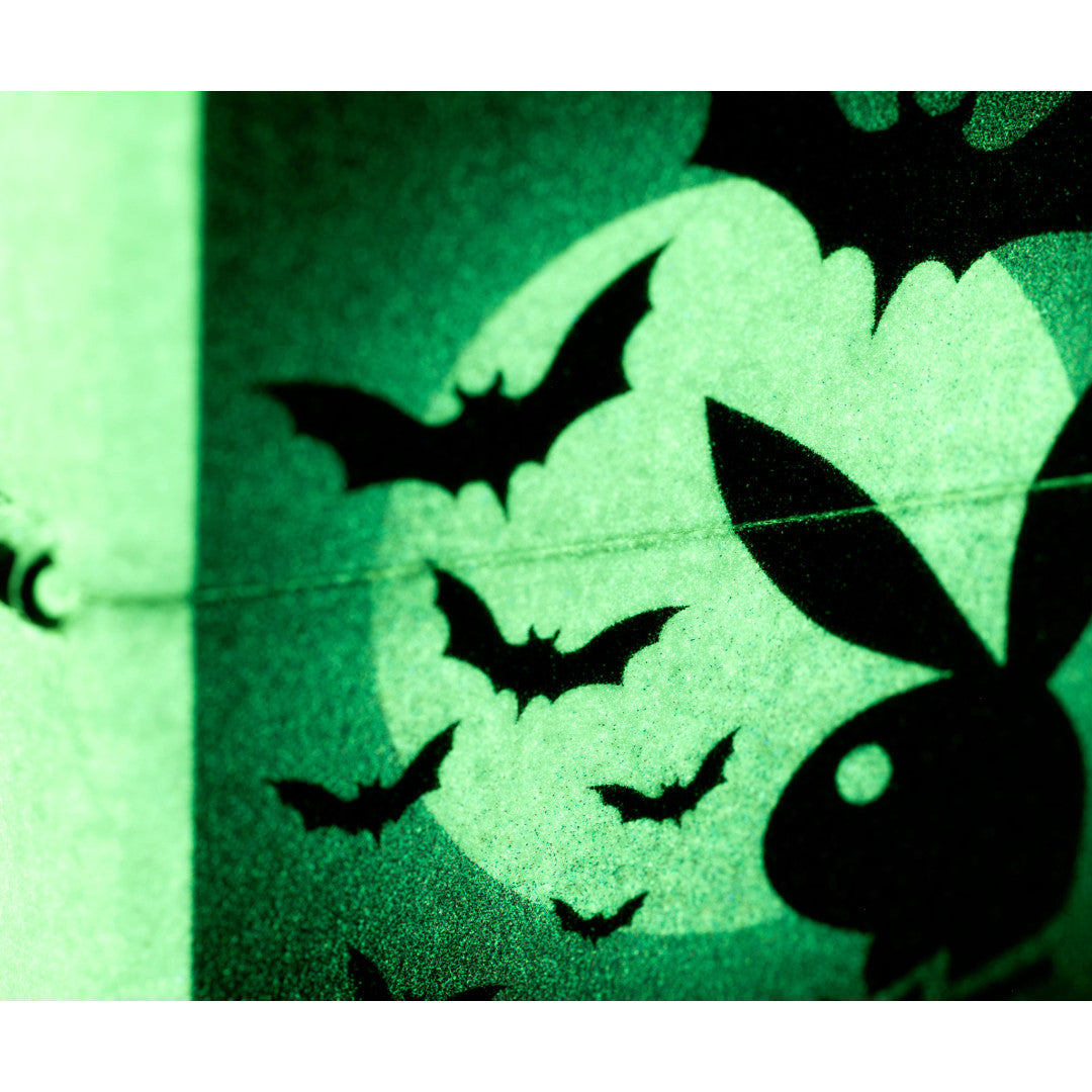Front view of Zippo Playboy Glowing Bats Design Glow In The Dark Windproof Lighter close up to show the detail of the lighter.