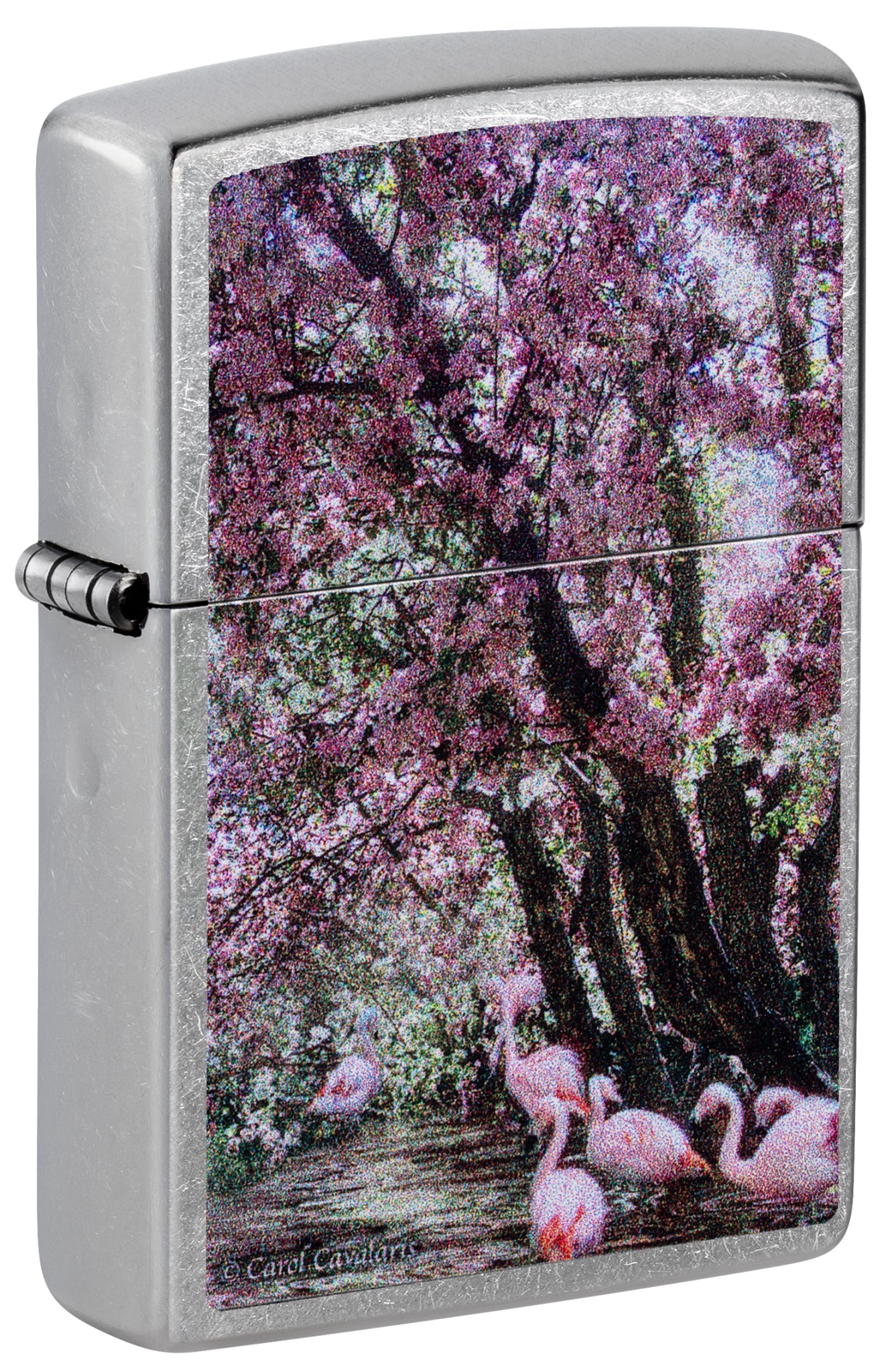 Front shot of Zippo Carol Cavalaris Flamingo Lagoon Design Street Chrome Windproof Lighter  standing at a 3/4 angle.