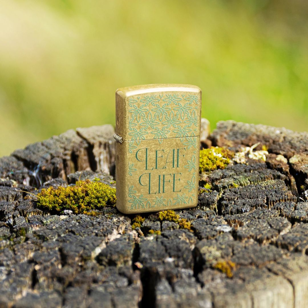 Lifestyle image of Zippo Leaf Life Design Street Brass Windproof Lighter standing on a tree stump showing the front of the lighter with an out of focus light green background.

