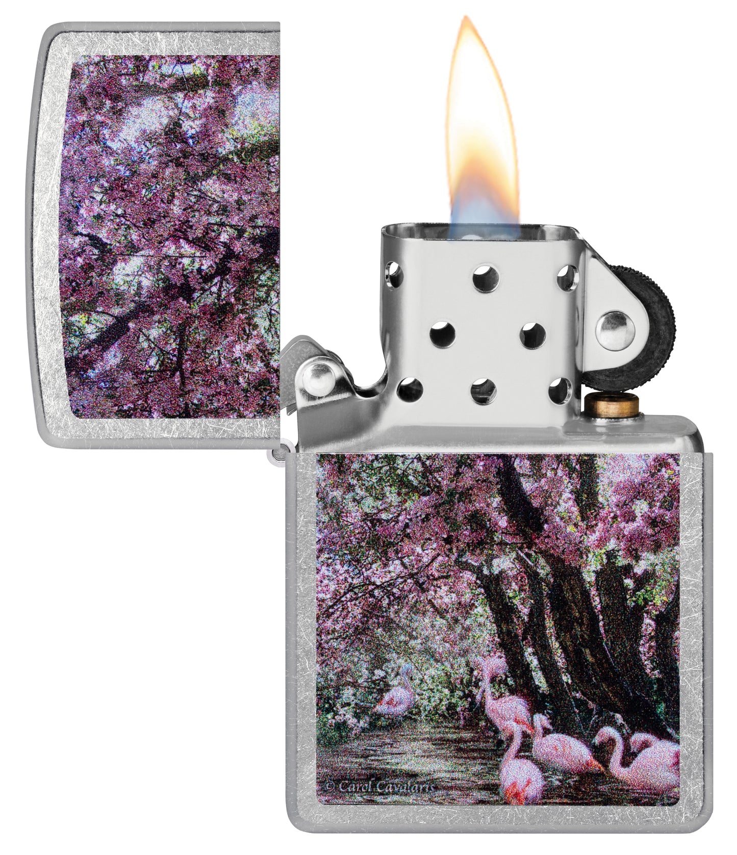 Zippo Carol Cavalaris Flamingo Lagoon Design Street Chrome Windproof Lighter  with its lid open and lit.
