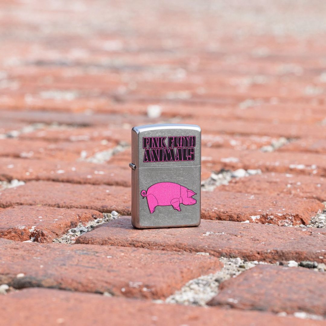 Lifestyle image of Zippo Pink Floyd Animals Design Street Chrome Windproof Lighter standing on a brick walkway showing the front of the lighter with the brick walkway as the background. 

