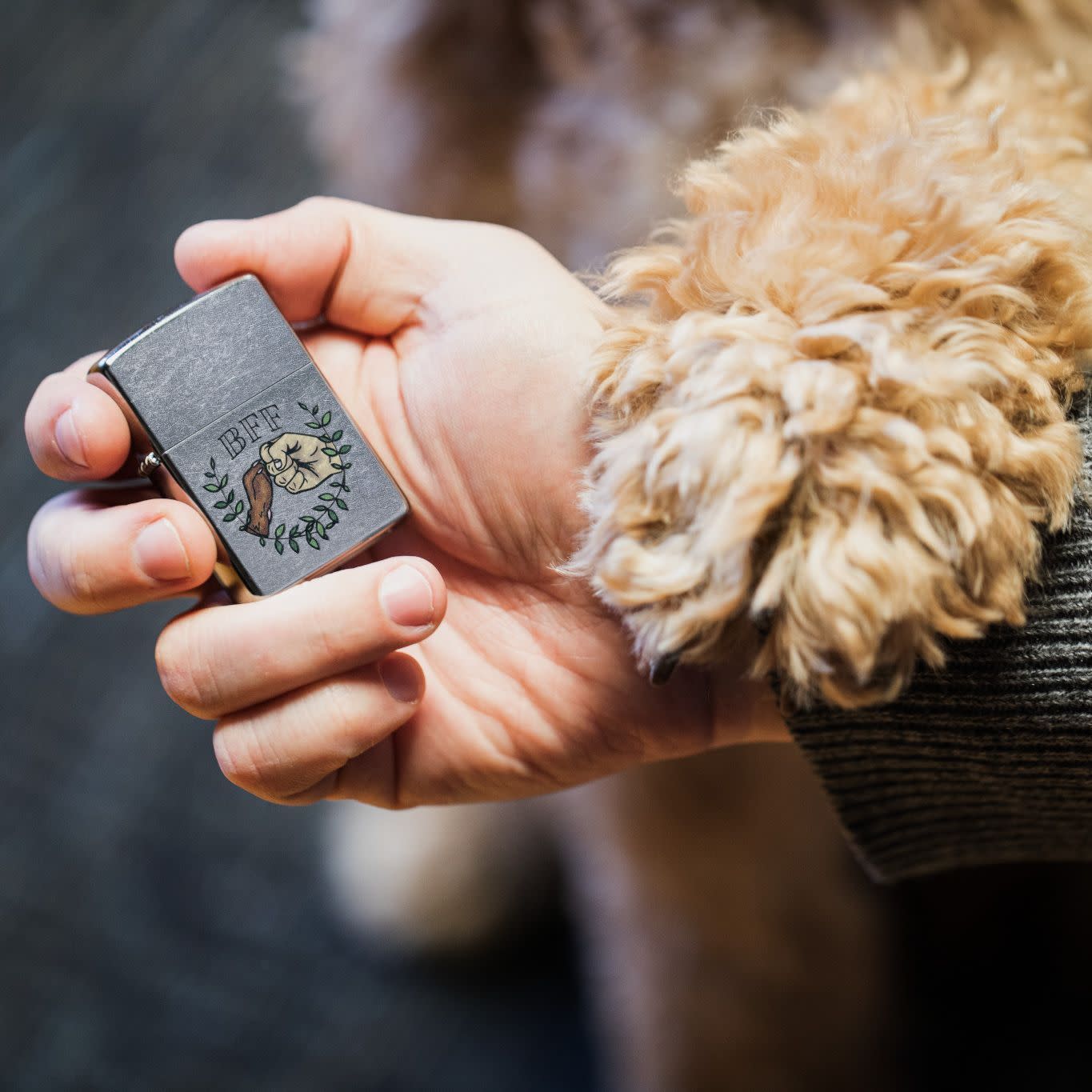 Paw Bump design in hand with dog paw